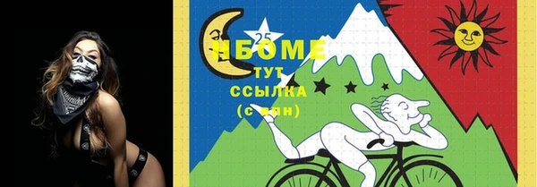 прущие грибы Алексеевка