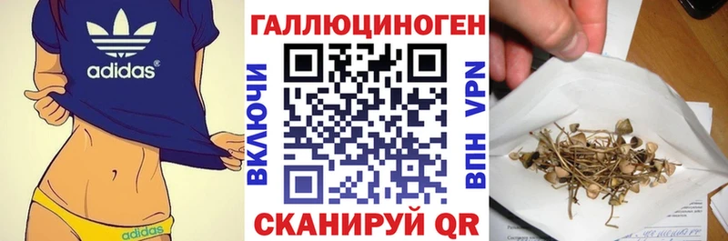 Купить где  Заозёрный  Галлюциногенные грибы Cubensis 